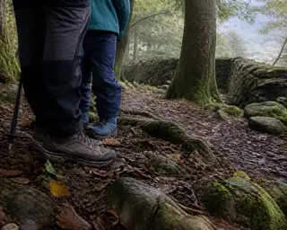 Boots and legs of an adult and child pausing on a mossy, root-strewn forest path under soft, misty light with ancient stones and trees in a Breton woodland.